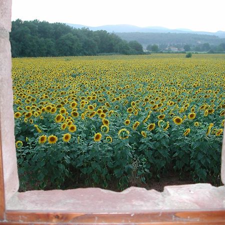 Penzion Casale Il Colombaio Di Toiano Valli Exteriér fotografie