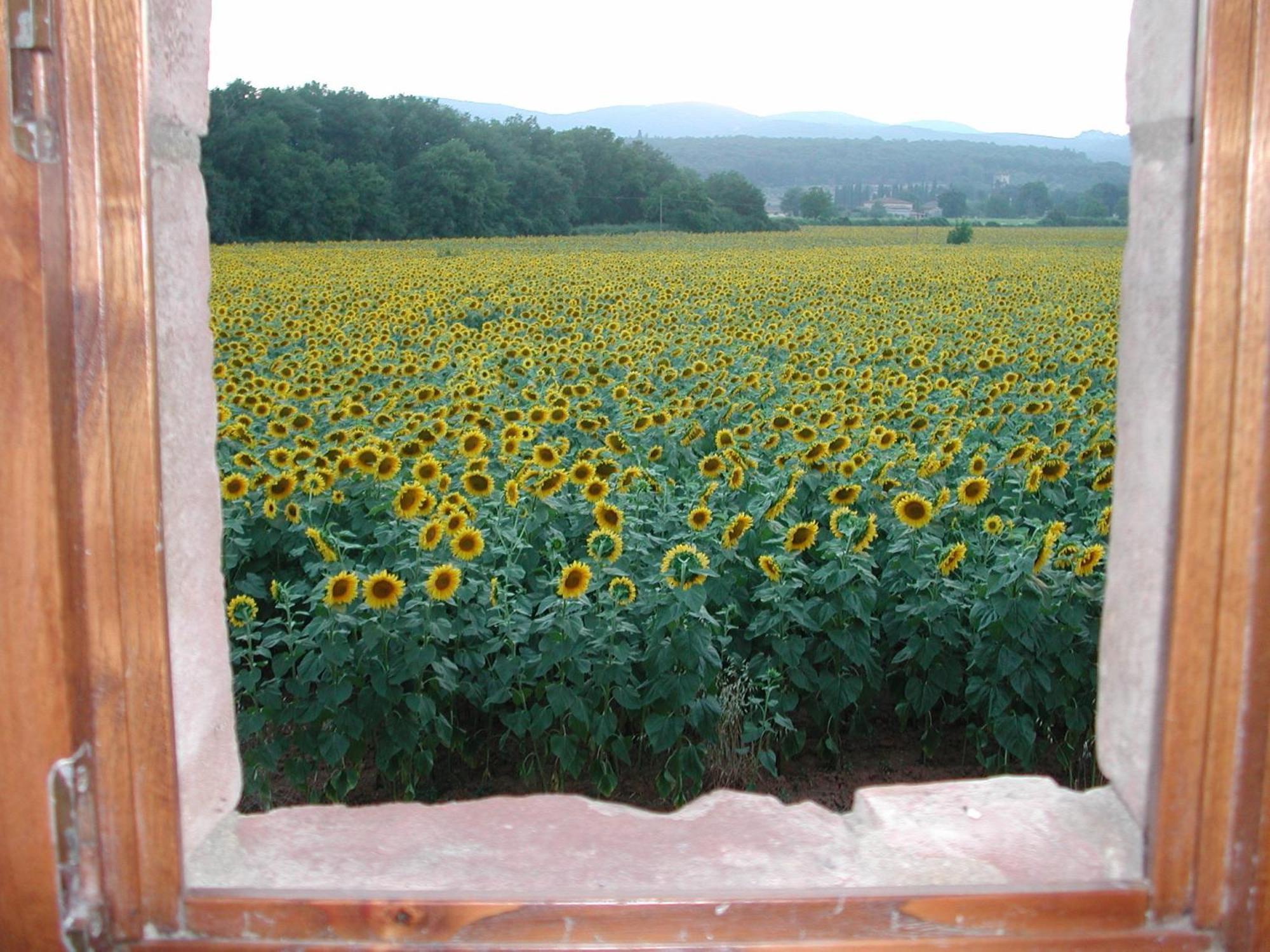 Penzion Casale Il Colombaio Di Toiano Valli Exteriér fotografie