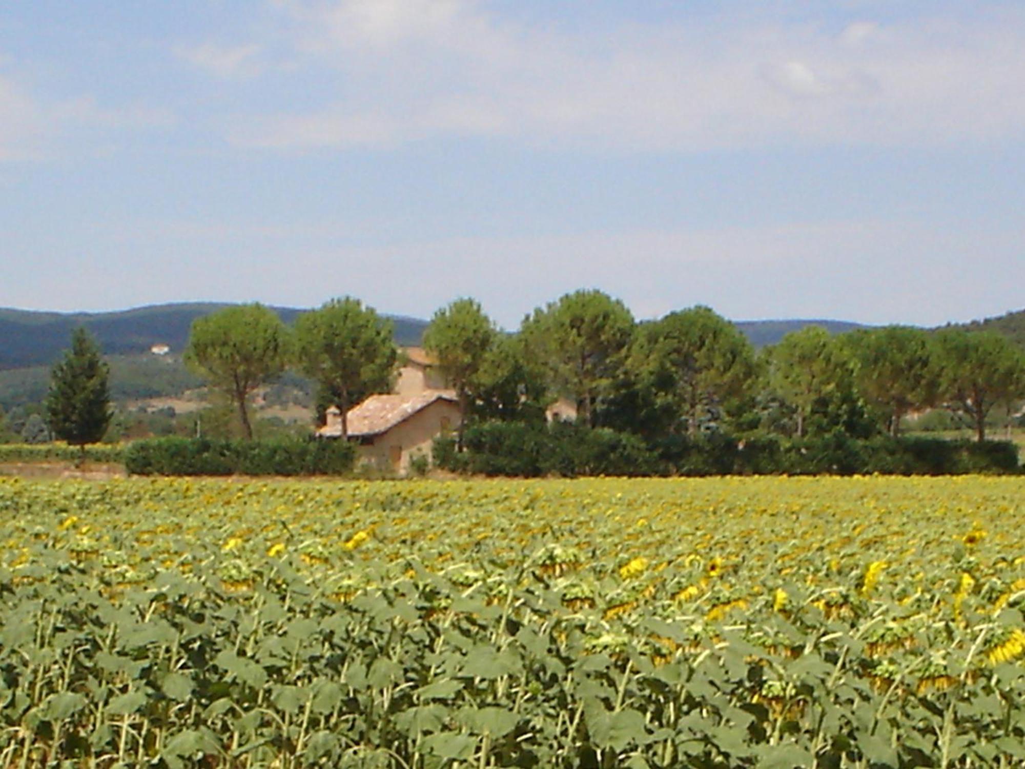 Penzion Casale Il Colombaio Di Toiano Valli Exteriér fotografie