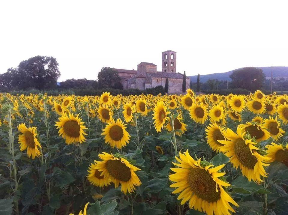 Penzion Casale Il Colombaio Di Toiano Valli Exteriér fotografie