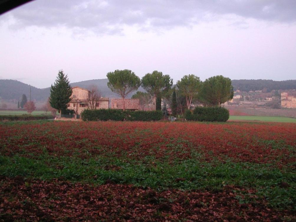 Penzion Casale Il Colombaio Di Toiano Valli Exteriér fotografie